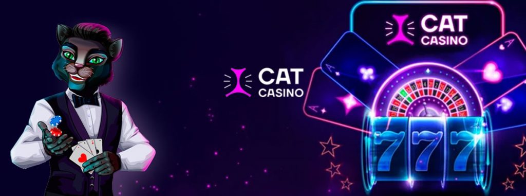 Get no deposit bonuses with Cat Casino 1