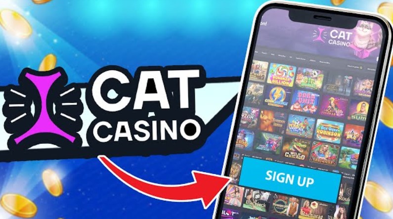 Uniqueness and advantages of Cat Casino 2